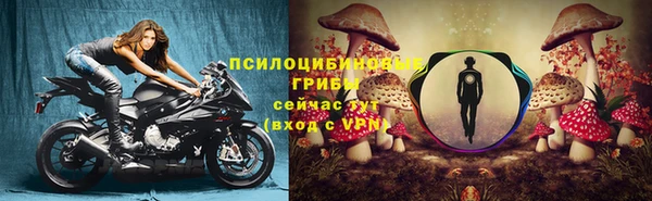 круглые Кодинск