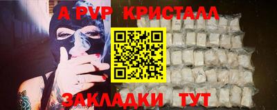 амф Кингисепп