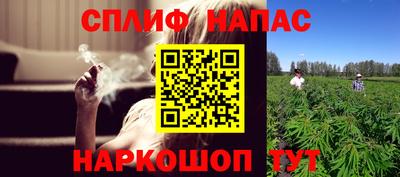 амф Кингисепп