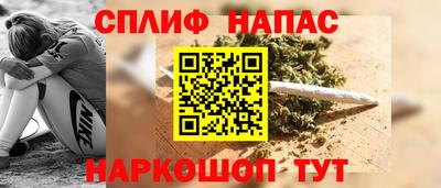 амф Кингисепп