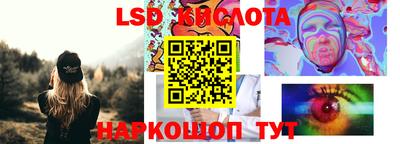 амф Кингисепп