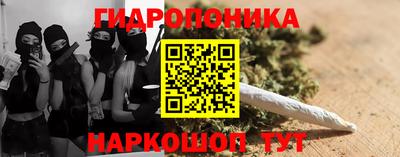 apvp Кимры
