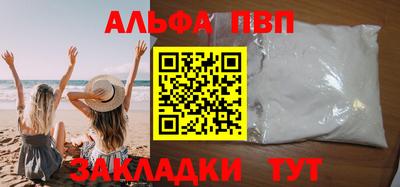 амф Кингисепп