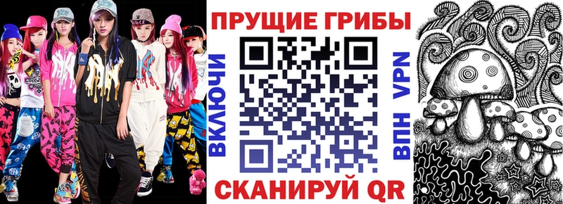 Псилоцибиновые грибы Psilocybine cubensis  Родники 