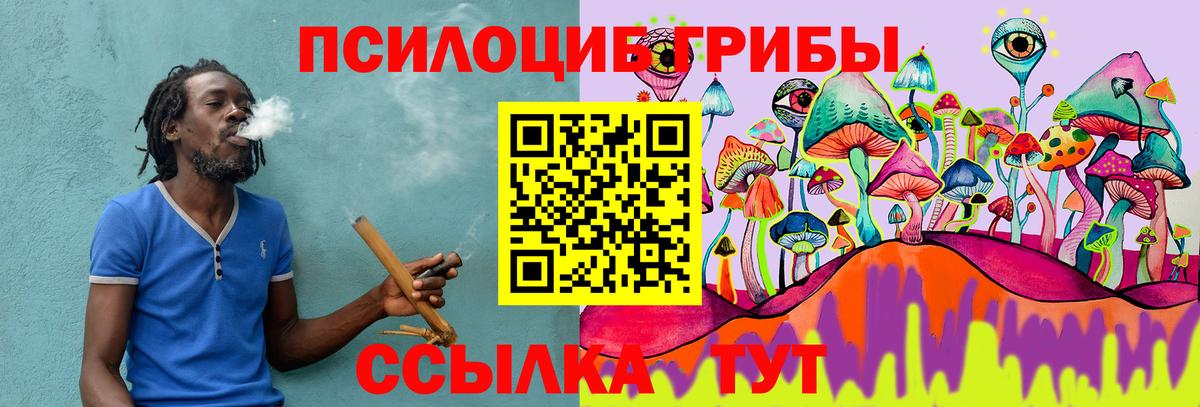 Галлюциногенные грибы мицелий Родники
