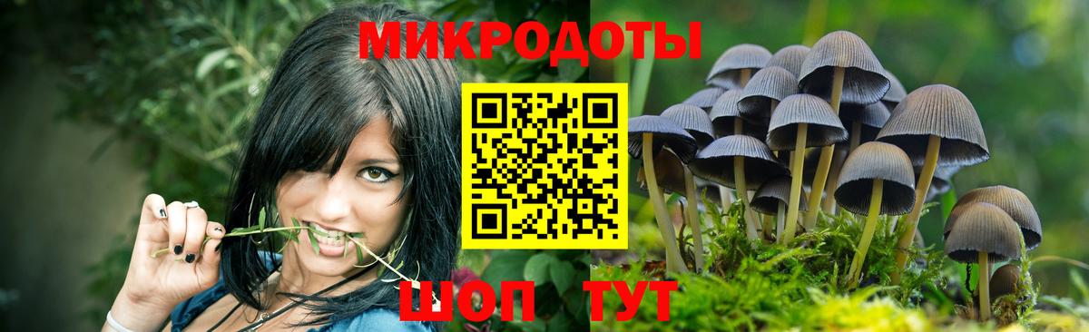 Родники  Галлюциногенные грибы Psilocybine cubensis  Вход с VPN 