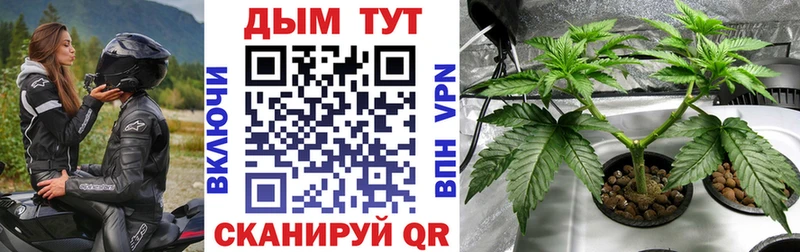 МАРИХУАНА VHQ  продажа наркотиков  Родники 